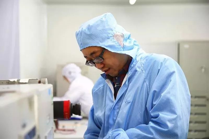 曲棍球选手无所畏惧，迎难中求胜