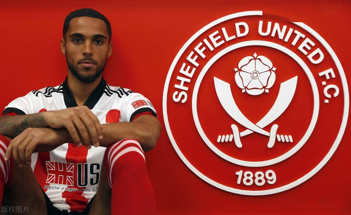 爱游戏在线-关于斯托克城主力伤退，降级危机愈演愈烈的信息