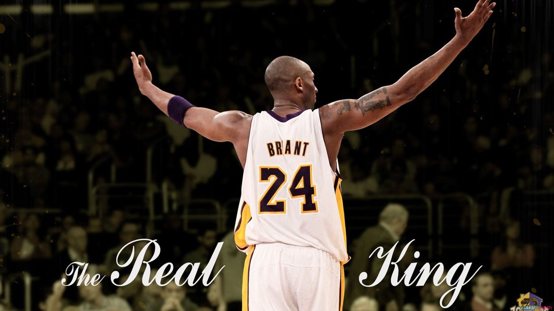 雷霆席卷萨城，双子星撕裂王权